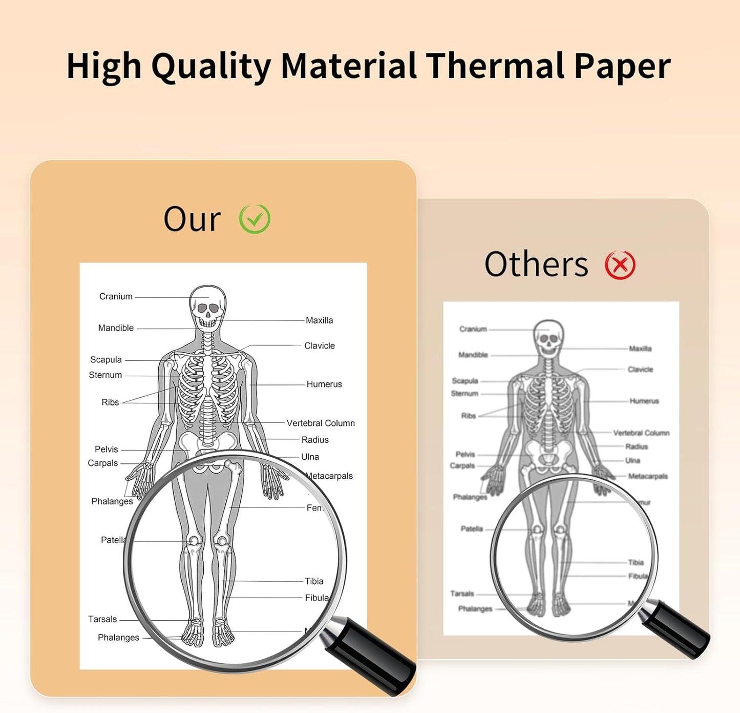 Gloryang PD-A4 Thermal Printer Paper 8.5''x11'' US Letter 4 Rolls